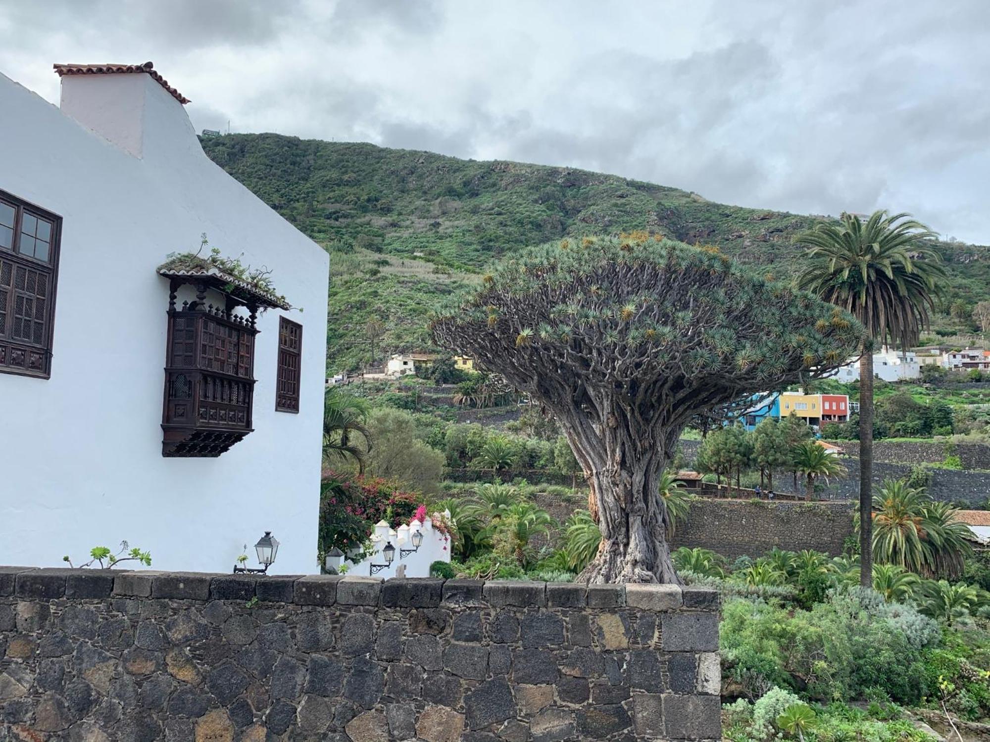 Villa Casa La Baja Garachico  Esterno foto